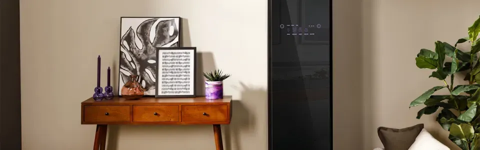 ge-profile-steam-closet-standalone